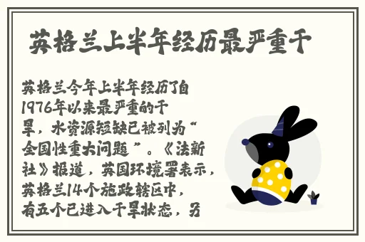 儿子耕种母亲的田地叫什么名字